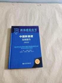 新基建蓝皮书：中国新基建发展报告（2022）精装