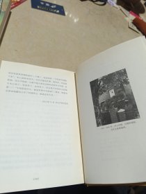 1989—1994文学回忆录 上下（全2册)