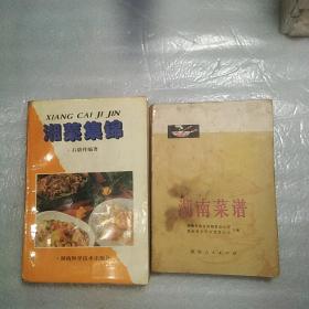 湖南菜谱，湘菜集锦，2本