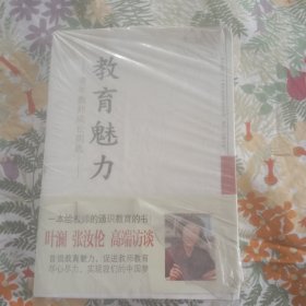 教育魅力：青年教师成长钥匙