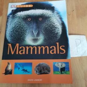 Mammals