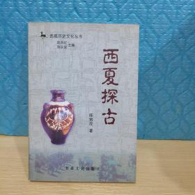 武威历史文化丛书：西夏探古