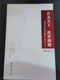 合力天下 筑梦湖湘