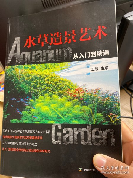 水草造景艺术：从入门到精通