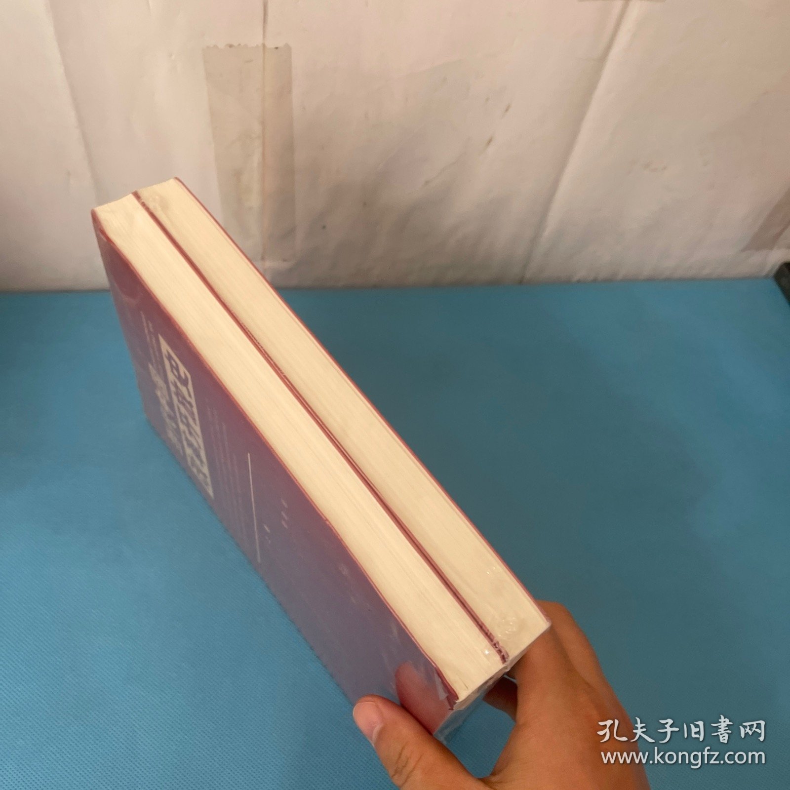 当代中国改革开放史