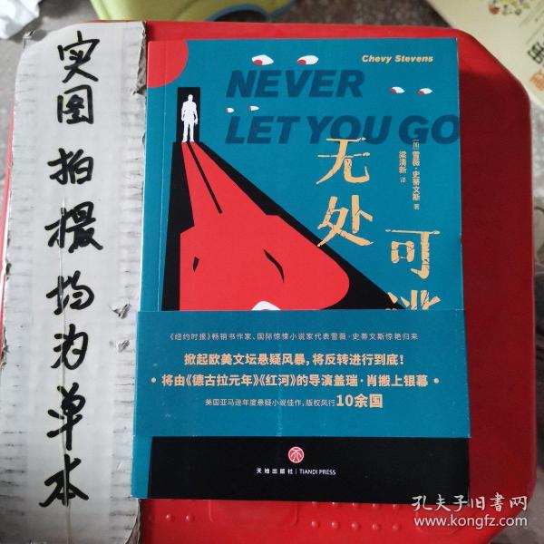 无处可逃：《纽约时报》畅销书作家、国际惊悚小说家代表雪薇·史蒂文斯惊艳归来