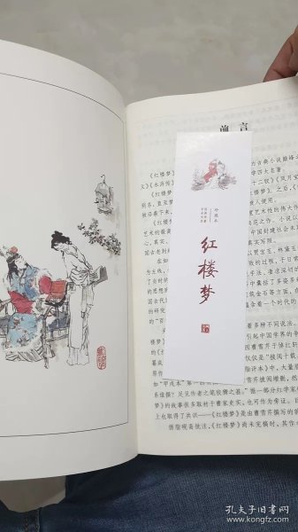 红楼梦（四大名著珍藏版）