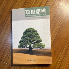 草根慈善：特立独行的基金资助工作者之实地笔记