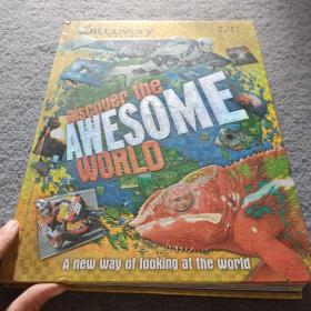 DISCOVER THE AWESOME WORLD