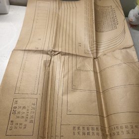 女式直统裤编号126