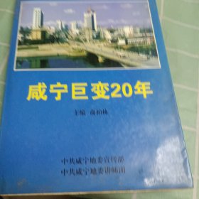 咸宁巨变20年