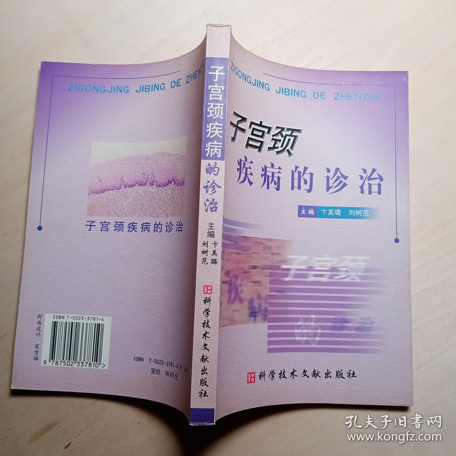 子宫颈疾病的诊治