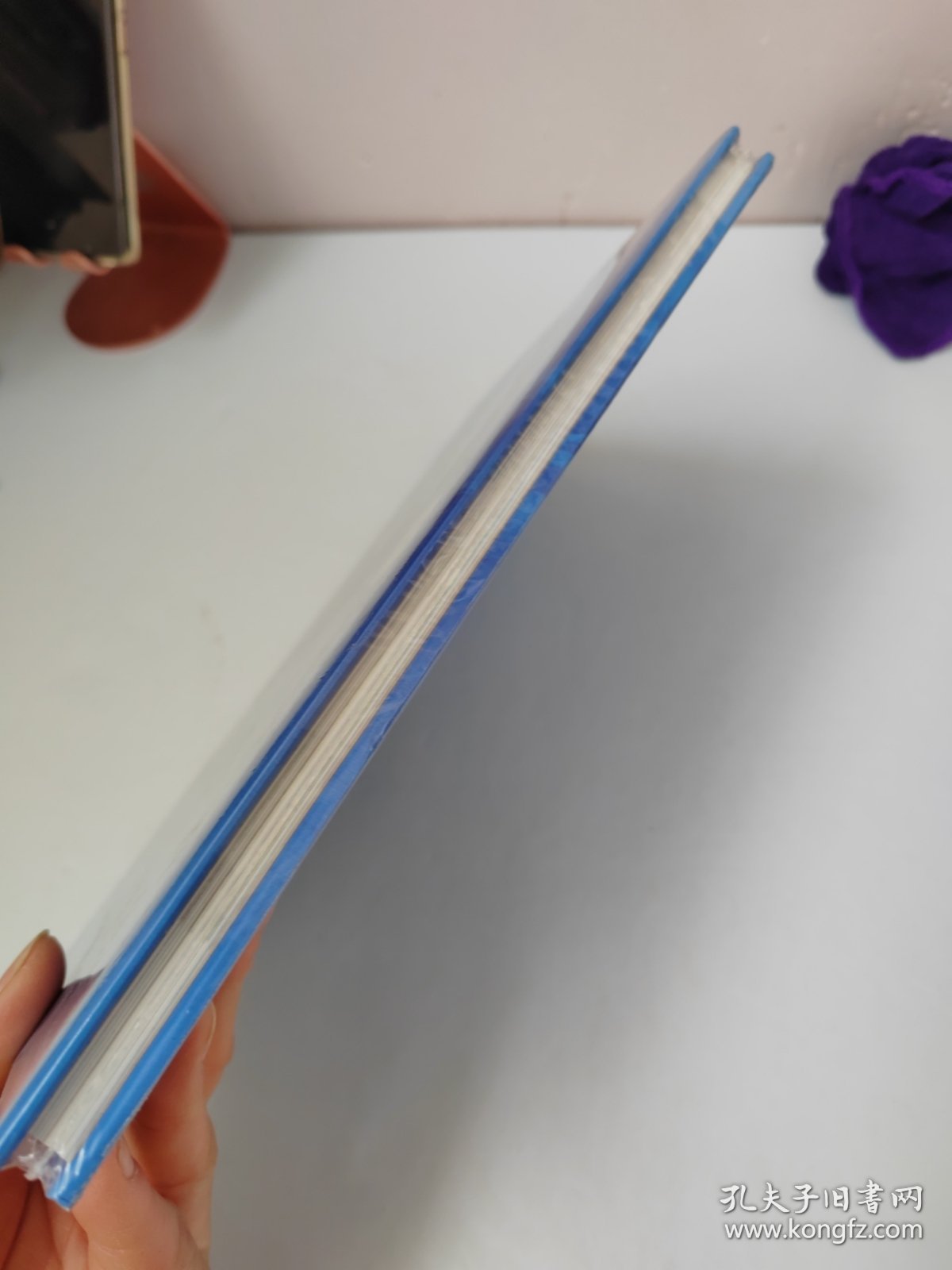 CHINAWATERDEVELOPMENTREPORT2021(2021中国水利发展