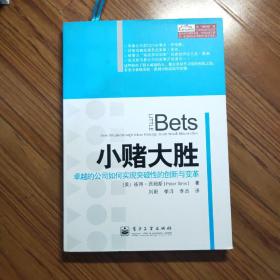 小赌大胜: 卓越的公司如何实现突破性的创新与变革