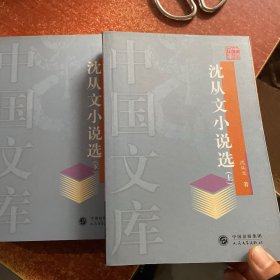 沈从文小说选上下——中国文库