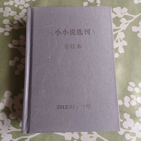 小小说选刊（合订本）2012.01～12期