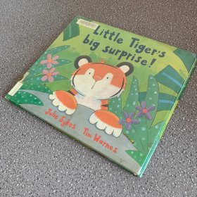 LITTLE TIGER'S BIG SURPRISE（英文精装儿童绘本）