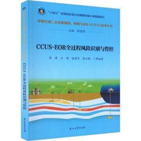 ccus-eor全过程风险识别与管控 能源科学  新华正版