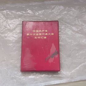 中国共产觉第十次代表大会文件汇编