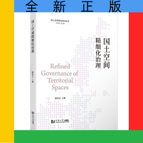国土空间精细化治理（国土空间规划培训丛书）