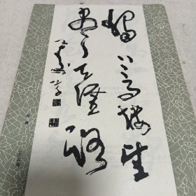 名家书法精选（活页40页无封套）