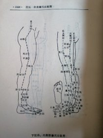 实用中医临床手册