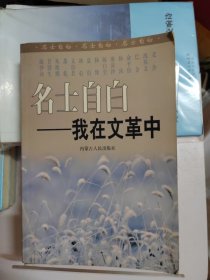 名士自白:我在文革中 下