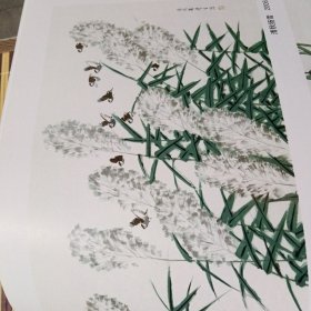 周彦生花鸟作品选 检查了里面几乎全新没有任何使用痕迹第一版第一次印刷只印5000本