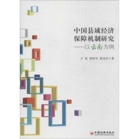 中国县域经济保障机制研究：以云南为例