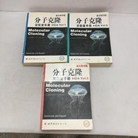 分子克隆实验室手册 第3版 （英文影印版）：VOI.1、 VOI.2、VOI.3（1-3册） 全三册 3本合售