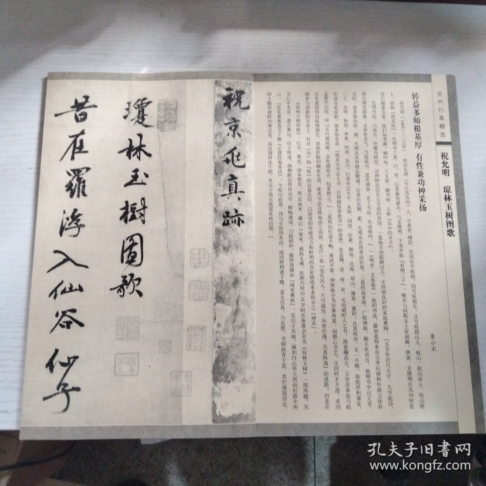 琼林玉树图歌