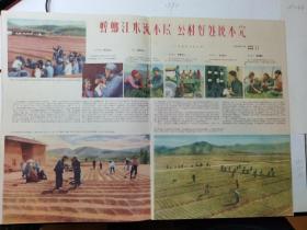 云南画报1959年11期