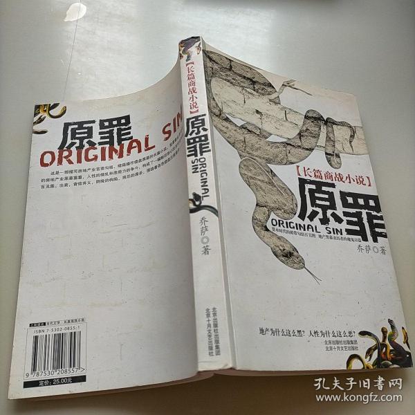 原罪：长篇商战小说