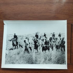 1950年，内蒙古人民协助公安部队捉捕国民党残匪