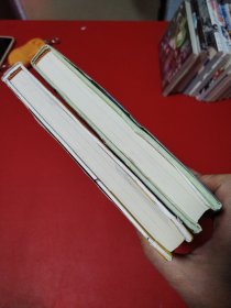 THE CONTINUITY OF AKIRA BY OTOMO KATSUHIRO（两本合售看图拍）