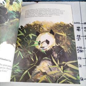 大熊猫丛书:  5饲养中的大熊猫