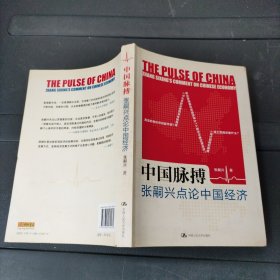 中国脉搏：张嗣兴点论中国经济