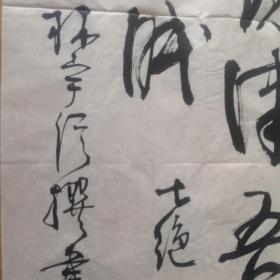 中国书协会员：林宇信