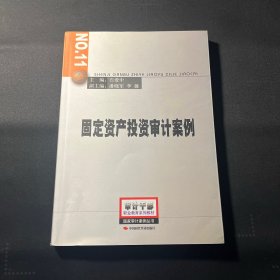 固定资产投资审计案例