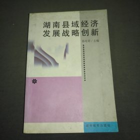 湖南县城经济发展战略创新