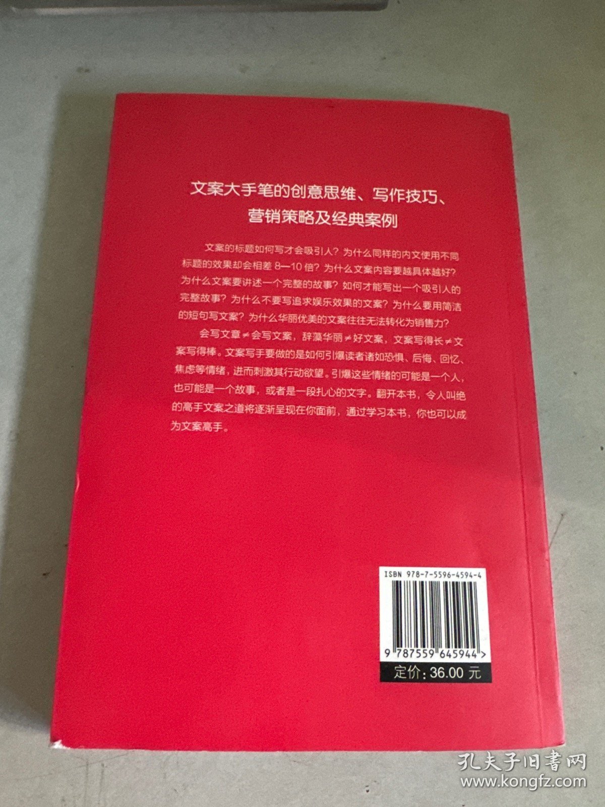 文案高手：好文案马上上手