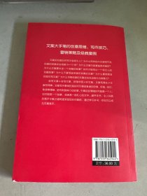 文案高手：好文案马上上手