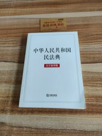 中华人民共和国民法典（大字条旨版）2020年6月k0523