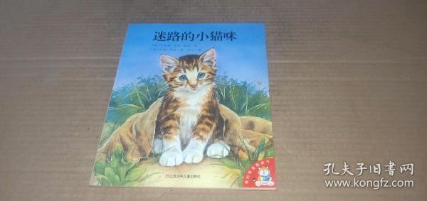 （爱的味道图画书）迷路的小猫咪