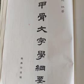 甲骨文字学纲要