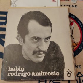 fragmentos del discurso pronuncia por rodrigo ambrosio, secretario general del mapu.MAPU秘书长罗德里戈·安布罗西奥的讲话片段。