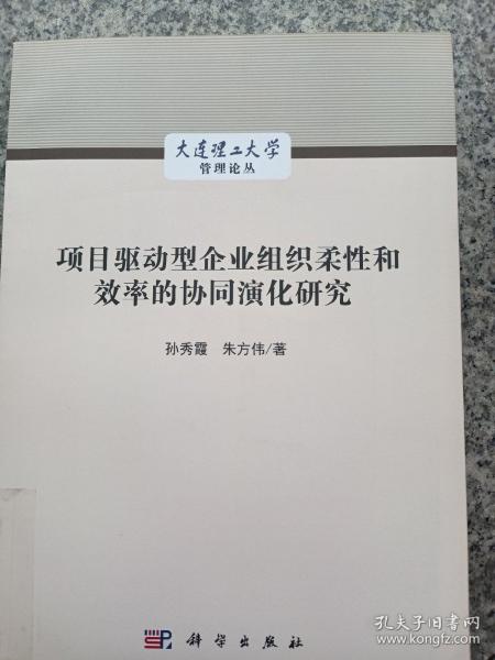 项目驱动型企业组织柔性和效率的协同演化研究