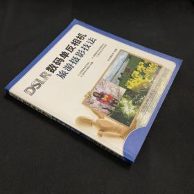 数码摄影易学易用：DSLR数码单反相机旅游摄影技法