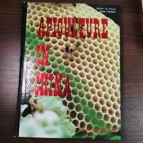 APICULTURE IN CHINA 中国养蜂业