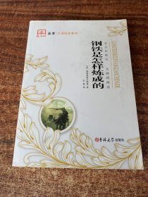 钢铁是怎样炼成的（全译本）